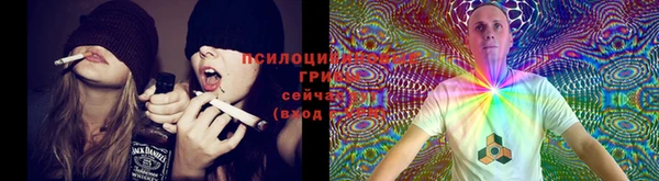 прущая мука Нефтекумск